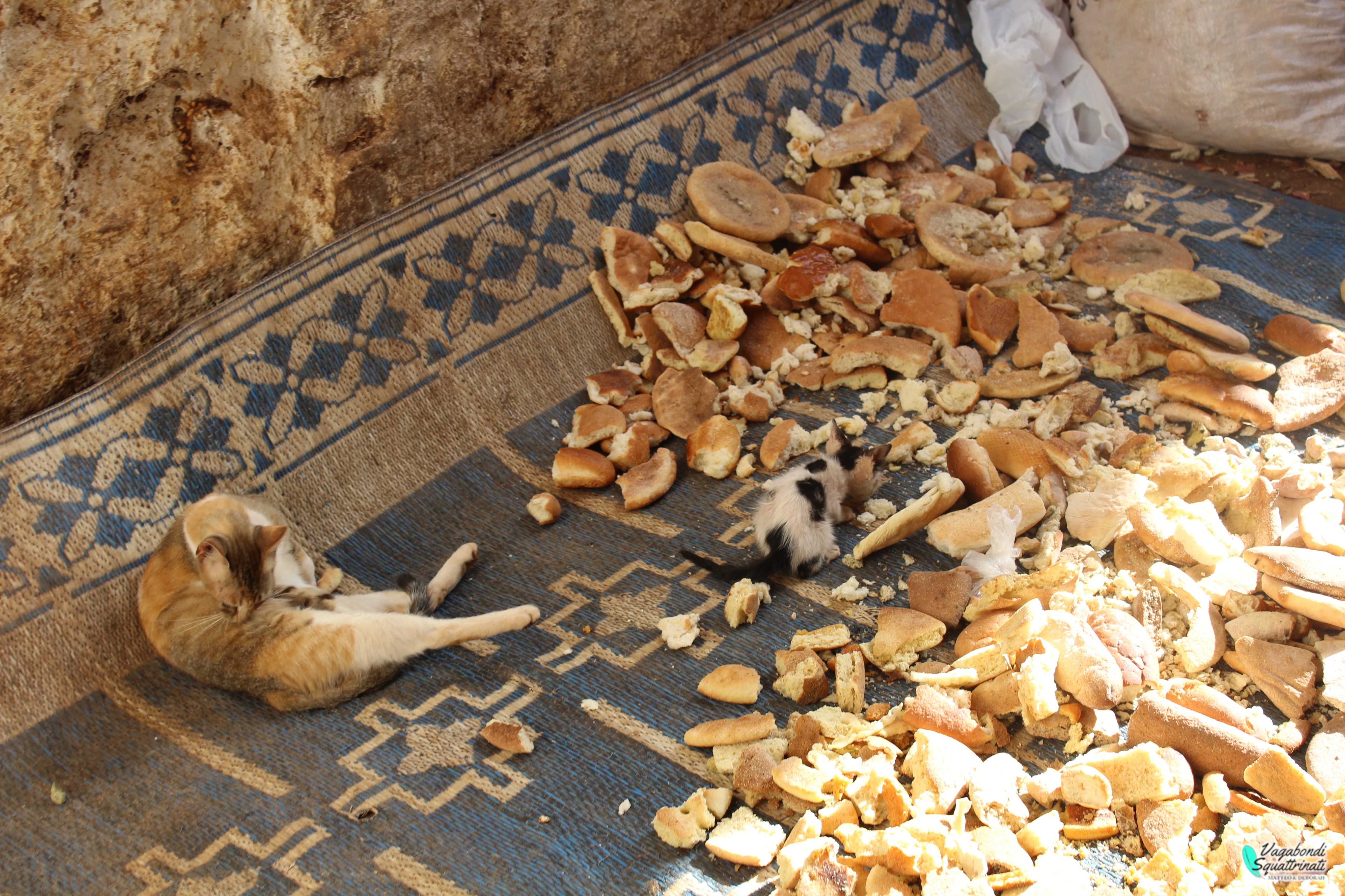 Una giorno a Fes: perdersi nella Medina più antica del Marocco