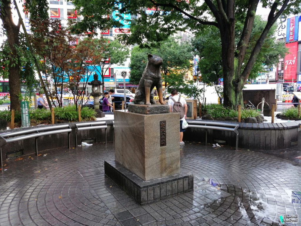 hachiko Shibuya