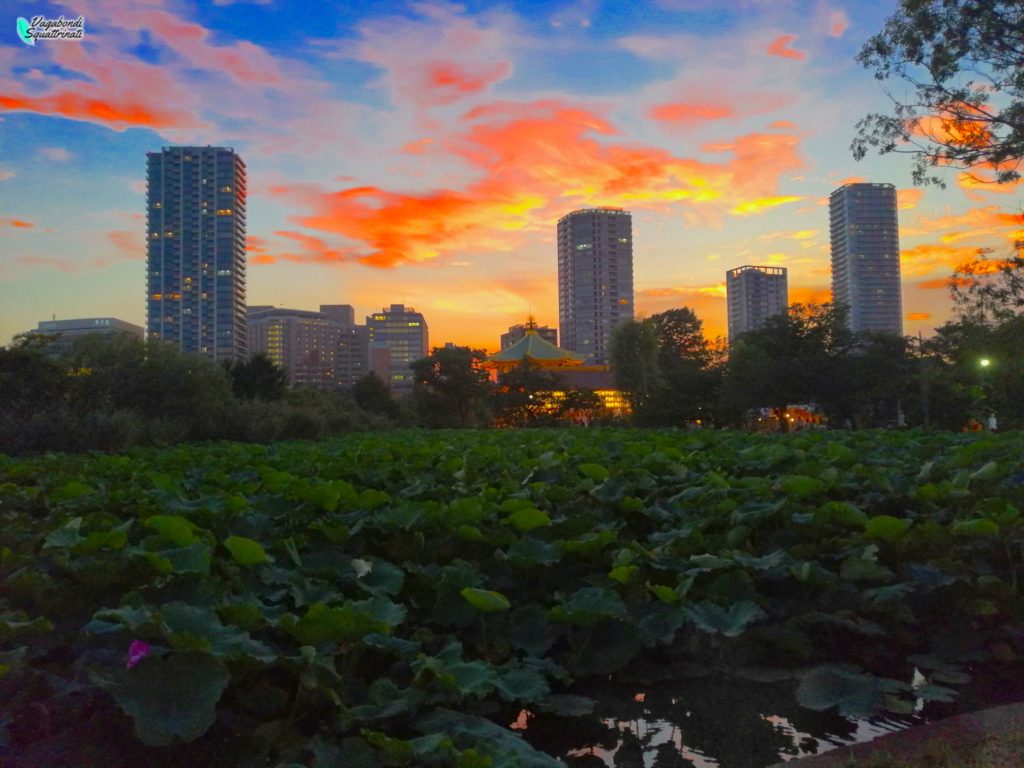 Parco di Ueno viaggio a Tokyo