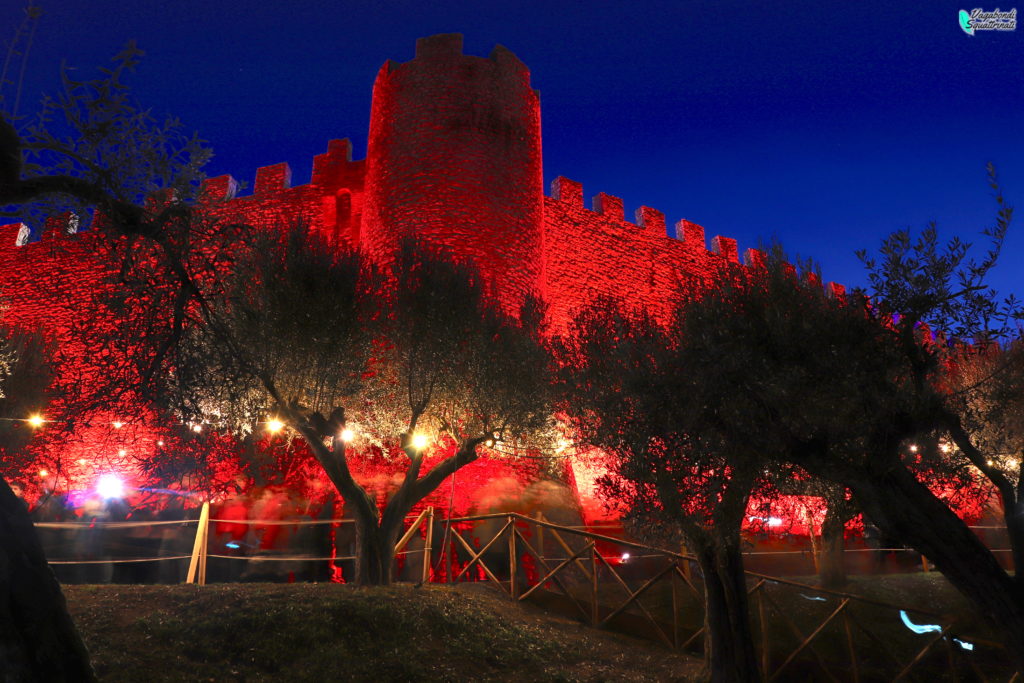 albero natale lago trasimeno