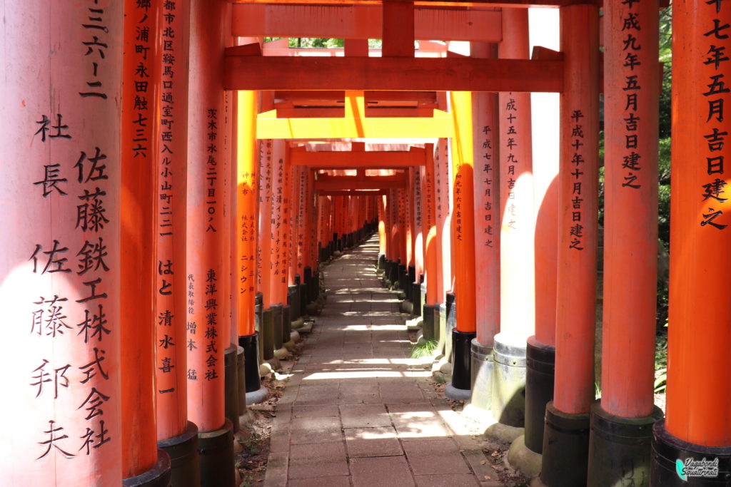 Santuario di Fushimi Inari: un tunnel di torii rossi