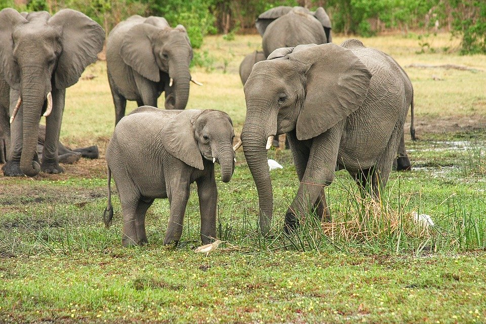 Concorso per vincere un viaggio in Sudafrica