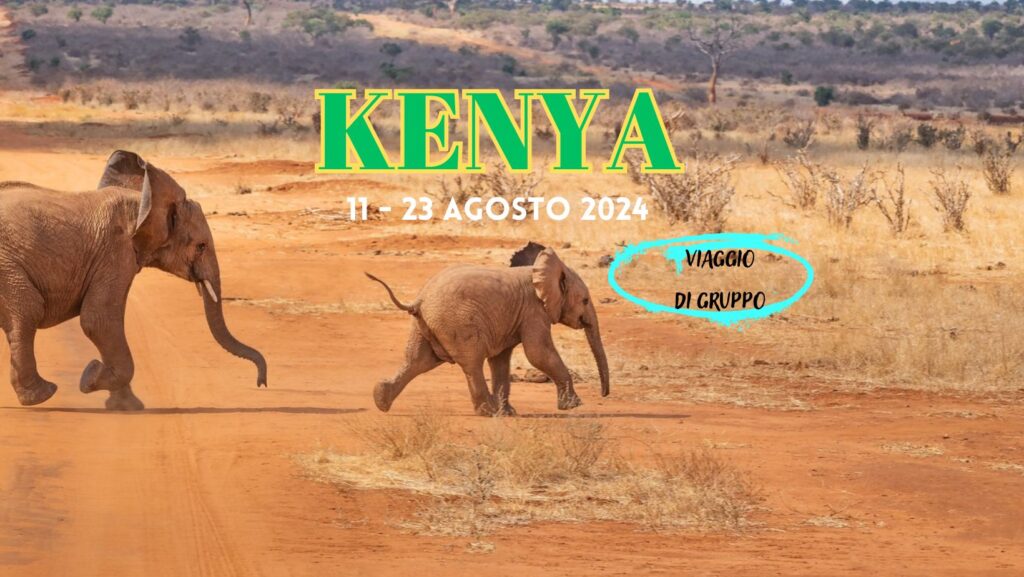 viaggio gruppo kenya